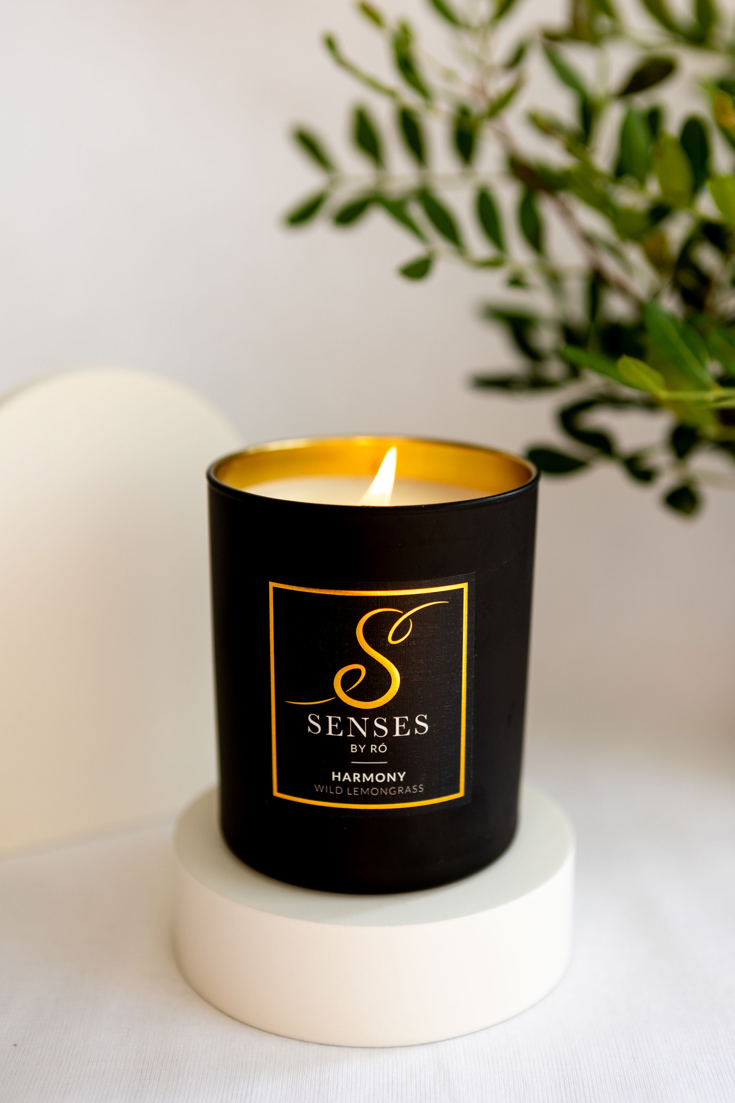 HARMONY Handmade Candle  - Wild Lemongrass